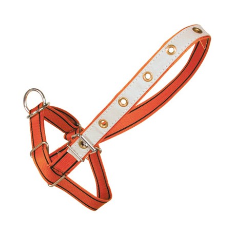 Adjustable heifer halter