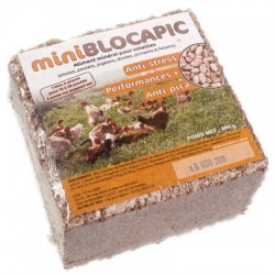 Poultry mineral block 900g