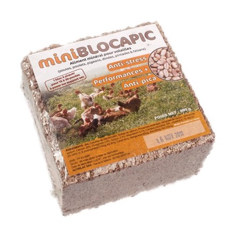 Bloque mineral para las aves