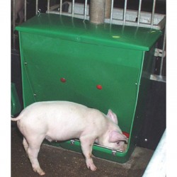 Alimentador para cerdo 60l