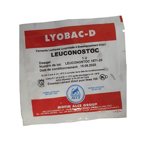 Leuconostoc 1u