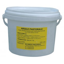 1kg arcilla pastorale