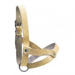 Ram halter leather 