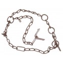 Chain 3 strands bull