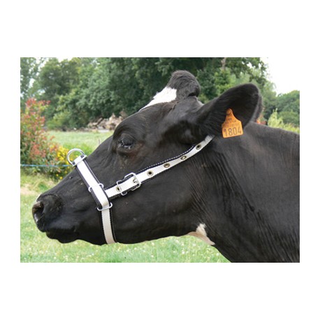 Adjustable halter cow