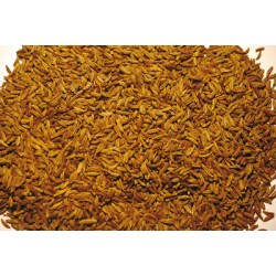 Caraway seeds