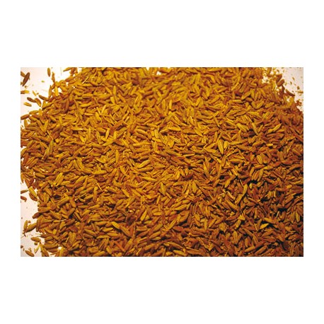 Cumin seeds