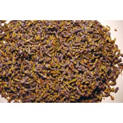 Dried lavender