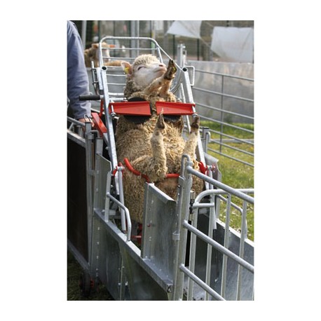 Sheep turnover crate  