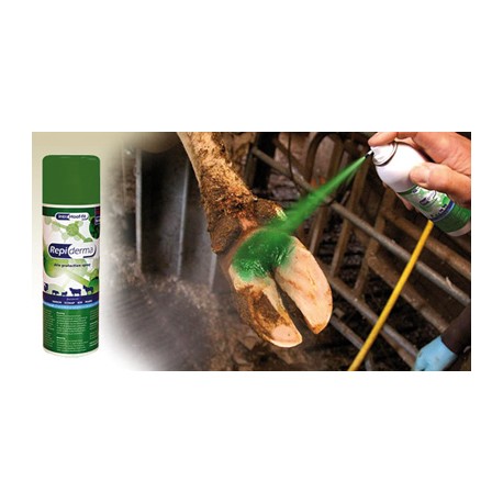 Hoof fit repiderma spray 